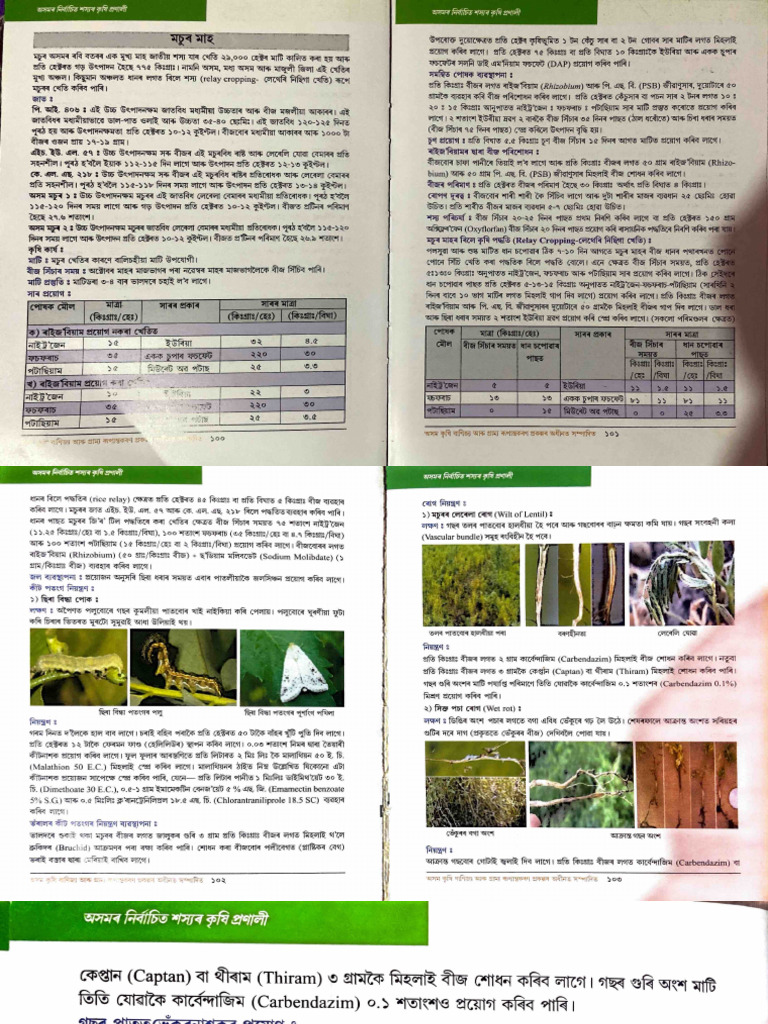MOSUR MAH | PDF