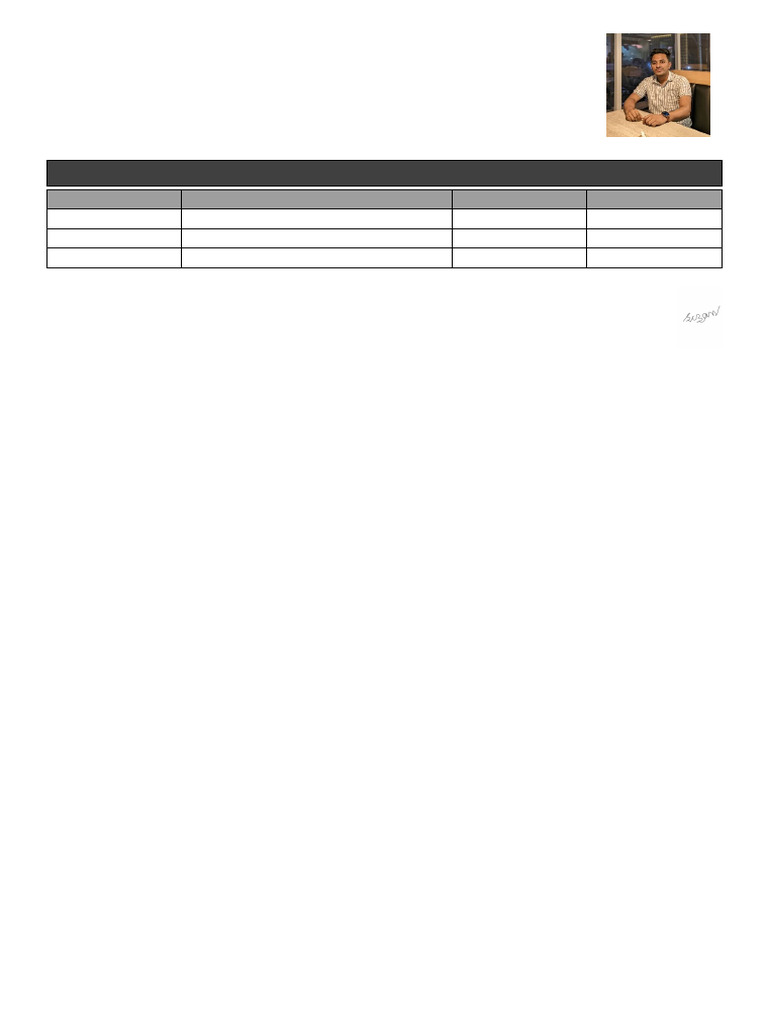 Professional Resume - 03 | PDF