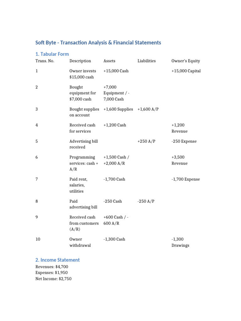 Soft Byte Financial Statements | PDF