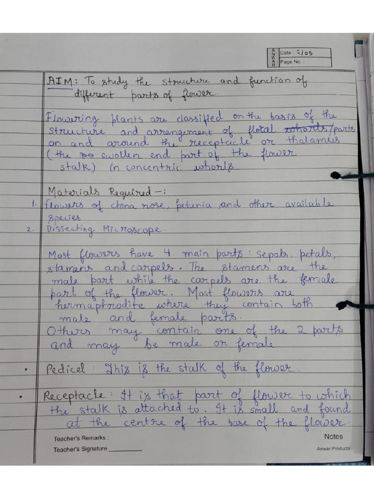 Botany Class 12 25-26 | PDF
