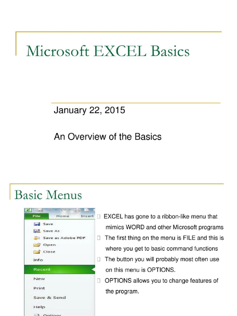 Microsoft EXCEL Basics | PDF