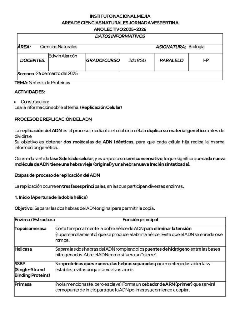 5. Replicacion Del Adn | PDF | Replicación De Adn | Adn