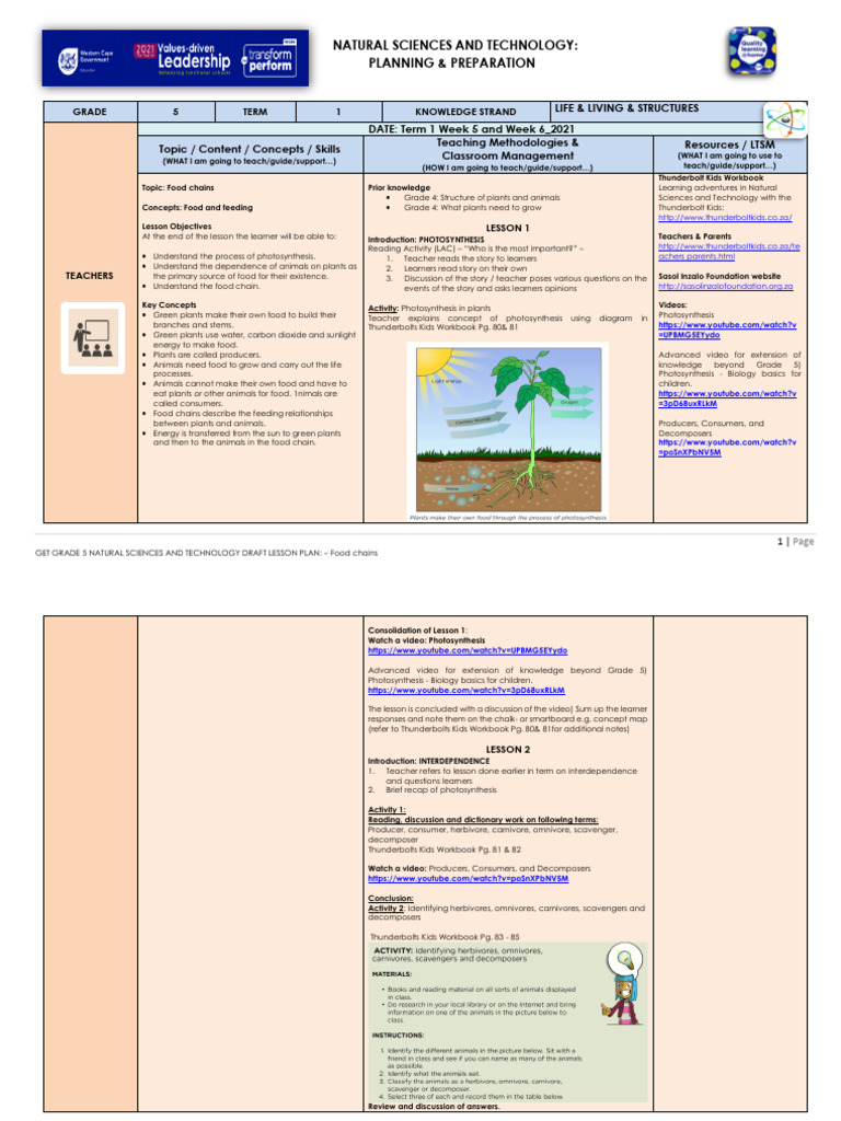 Lesson Plan GR 5 Natural Sciences and Technology T1 W5&6 | PDF ...