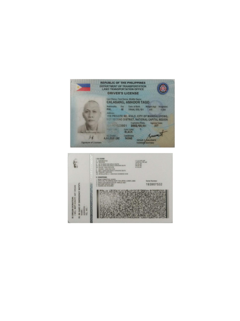 VALID ID 2 | PDF