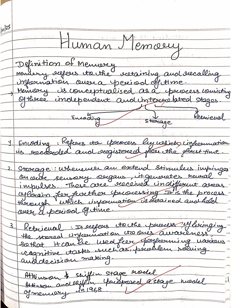 Memory and Thinking Chapter Notes | PDF