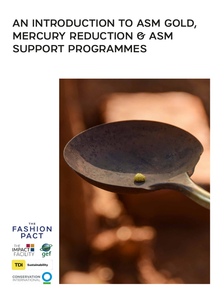 Asm Gold and Mercury Overview | PDF | Fair Trade | Mining
