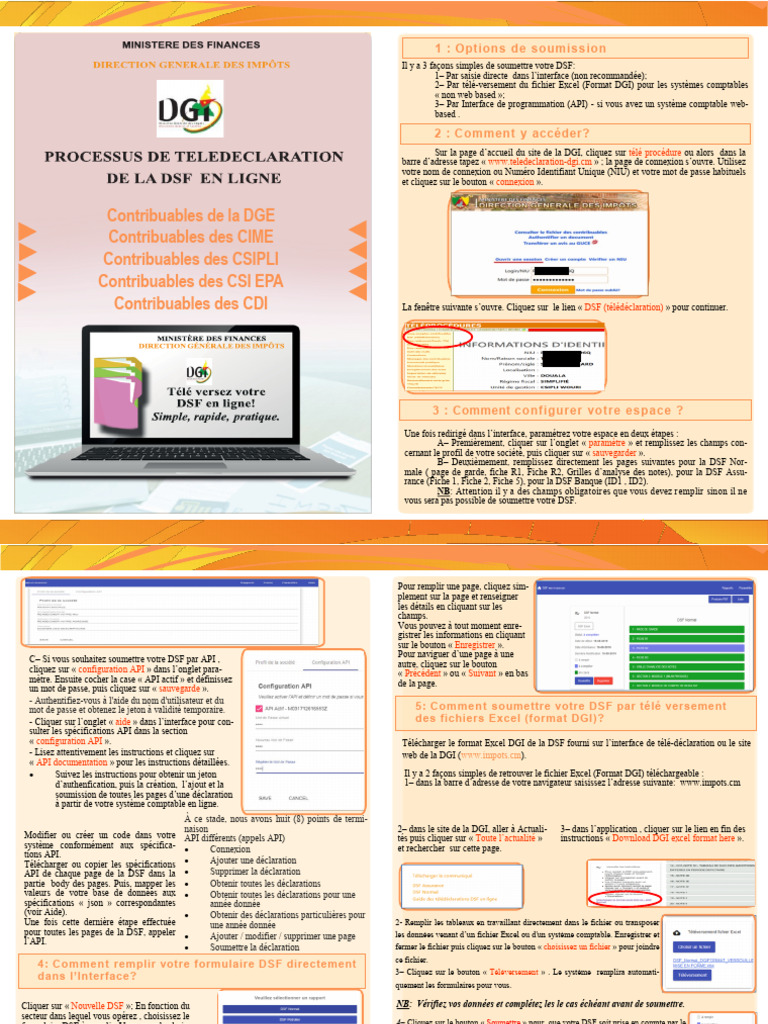 DSF Guide 13 03 2021 - F - LS | PDF
