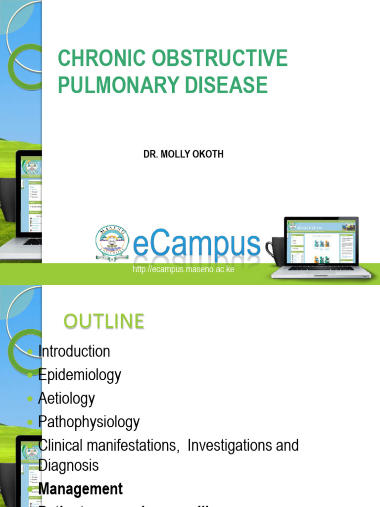 03 Principles of Management of Copd | PDF | Chronic Obstructive ...