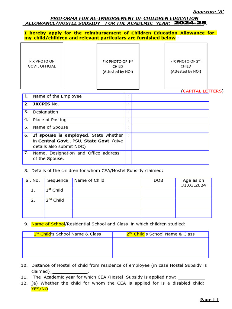 CEA Form 2024-25 | PDF