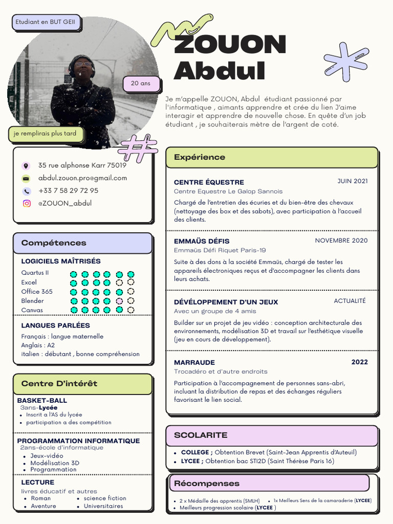 CV Pro | PDF