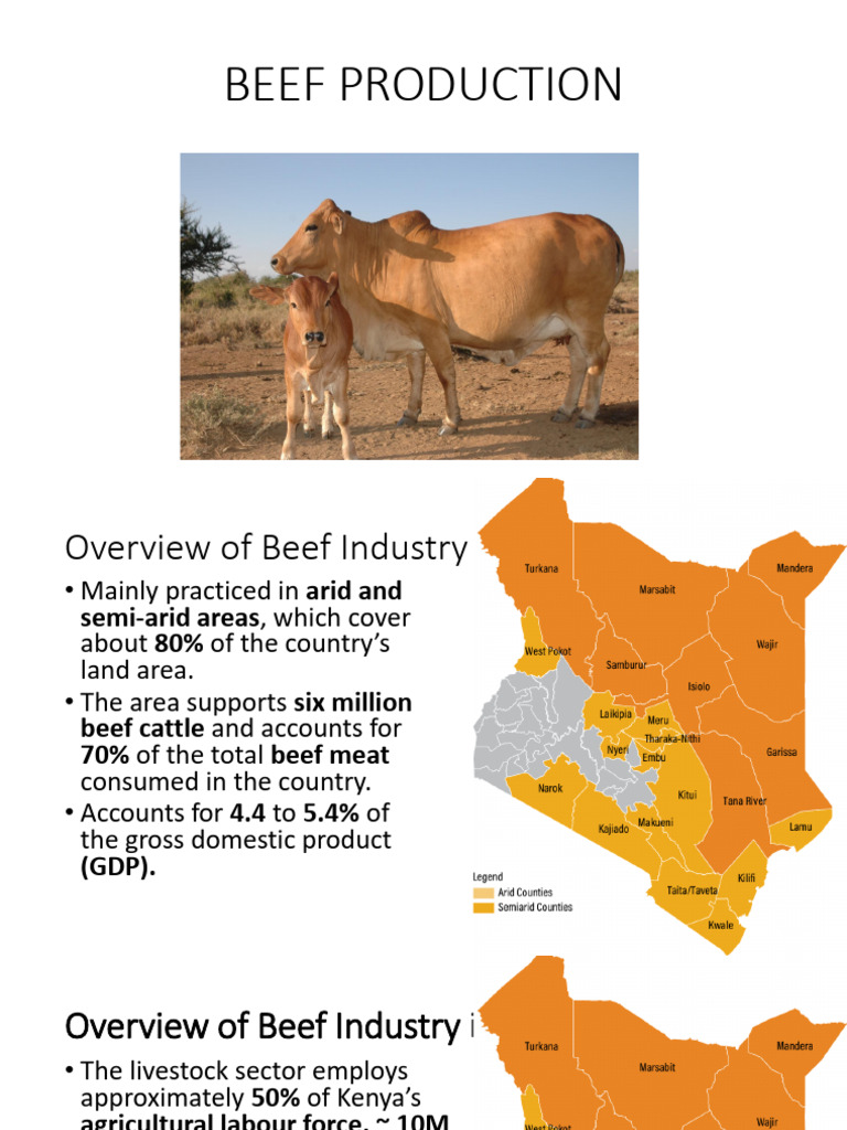 Beef Production Final | PDF | Cattle | Weaning