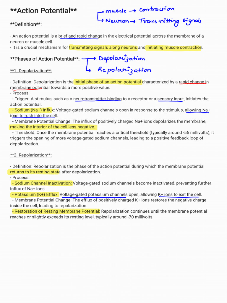 Action Potential_240407_121106 (1) | PDF