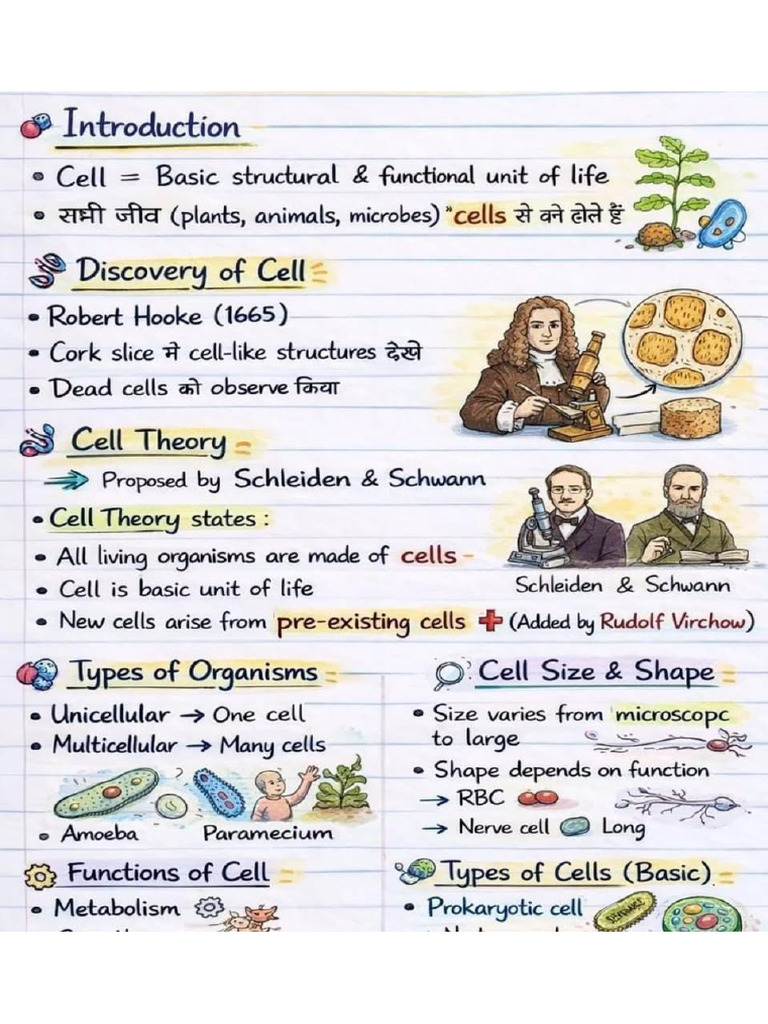 Cell | PDF