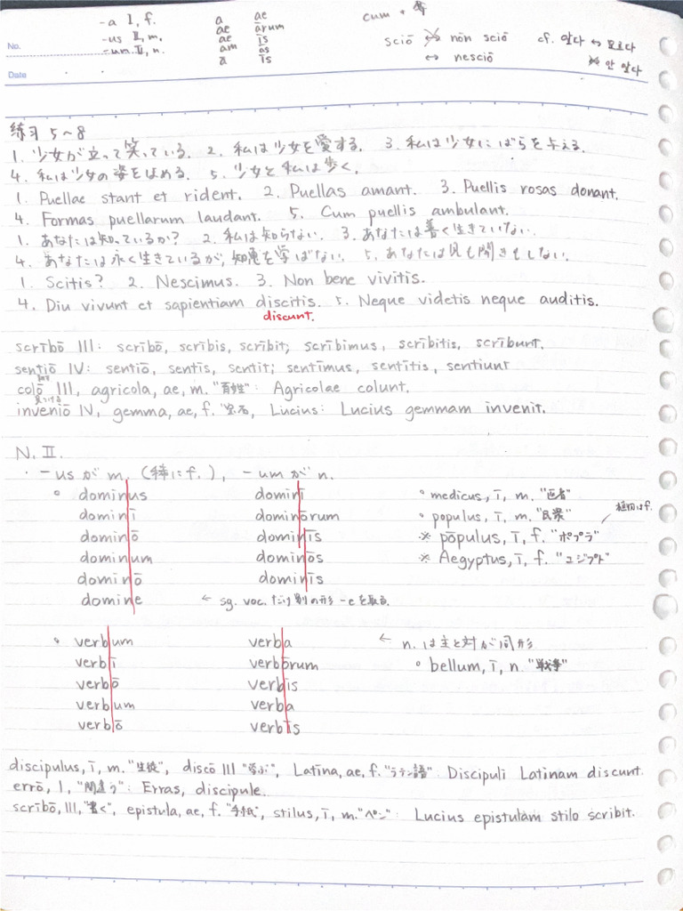 Latin 4 | PDF
