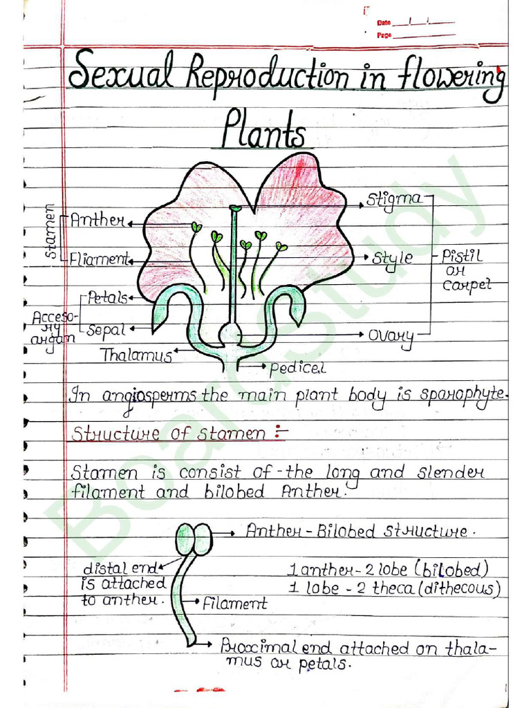 Biology Chapter 1 Notes | PDF