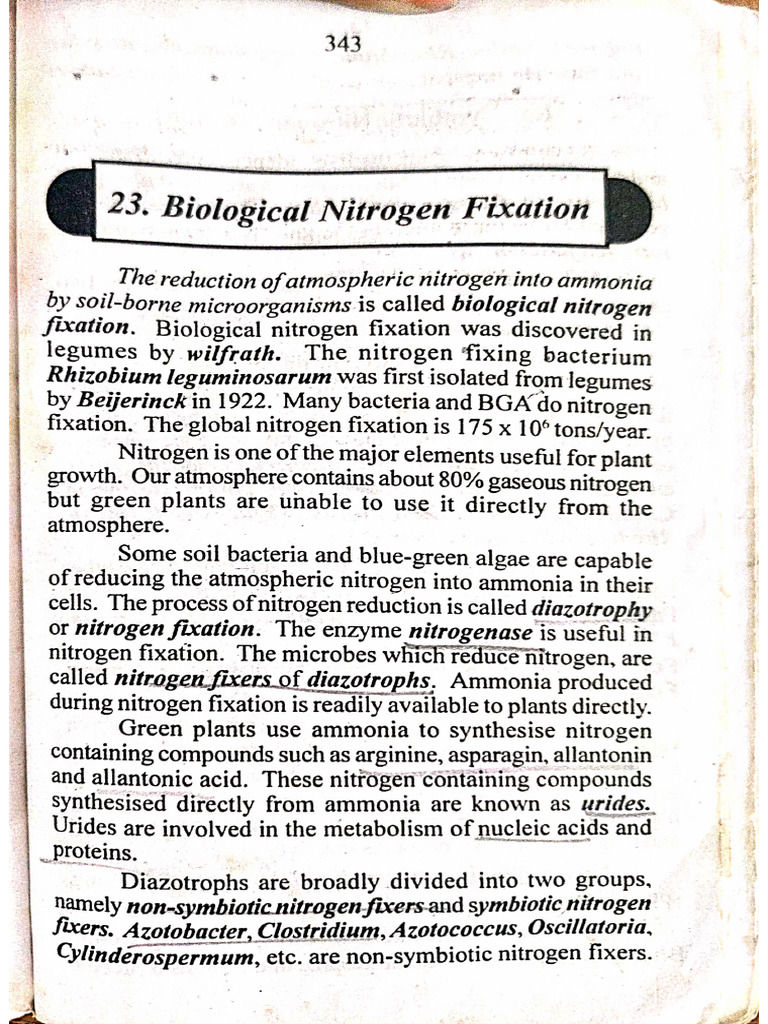 Biological Nitrogen Fixation | PDF