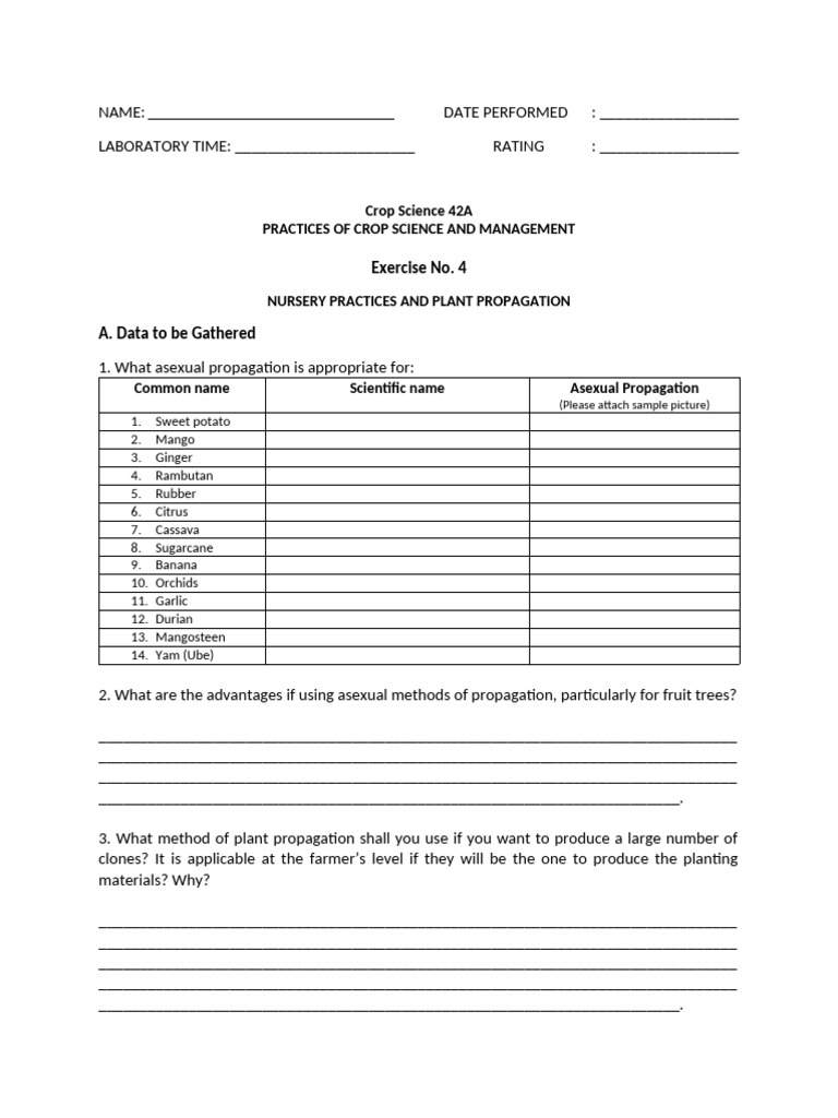 Exercise 4 | PDF