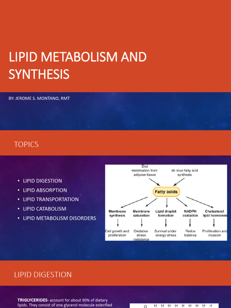 Lipid Metabolism and Synthesis | PDF | Lipid | Digestion