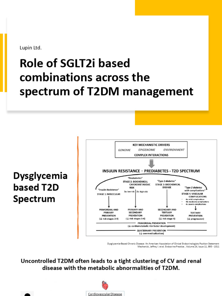 Role of SGLT2i Based Combinations Across the Spectrum of T2DM ...