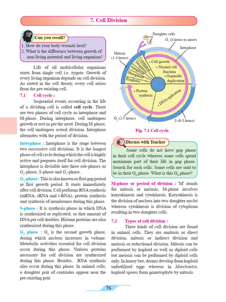 Maharashtra Board Class 11 Biology Book CH 7 | PDF | Meiosis | Mitosis