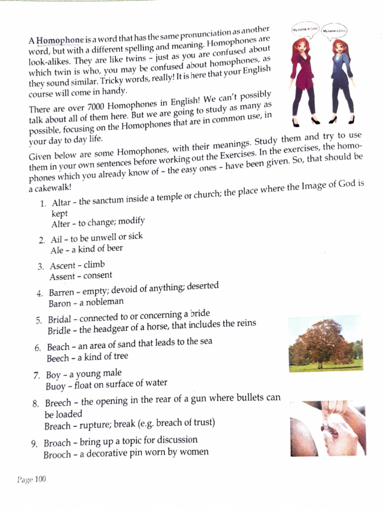 Homophones Examples | PDF