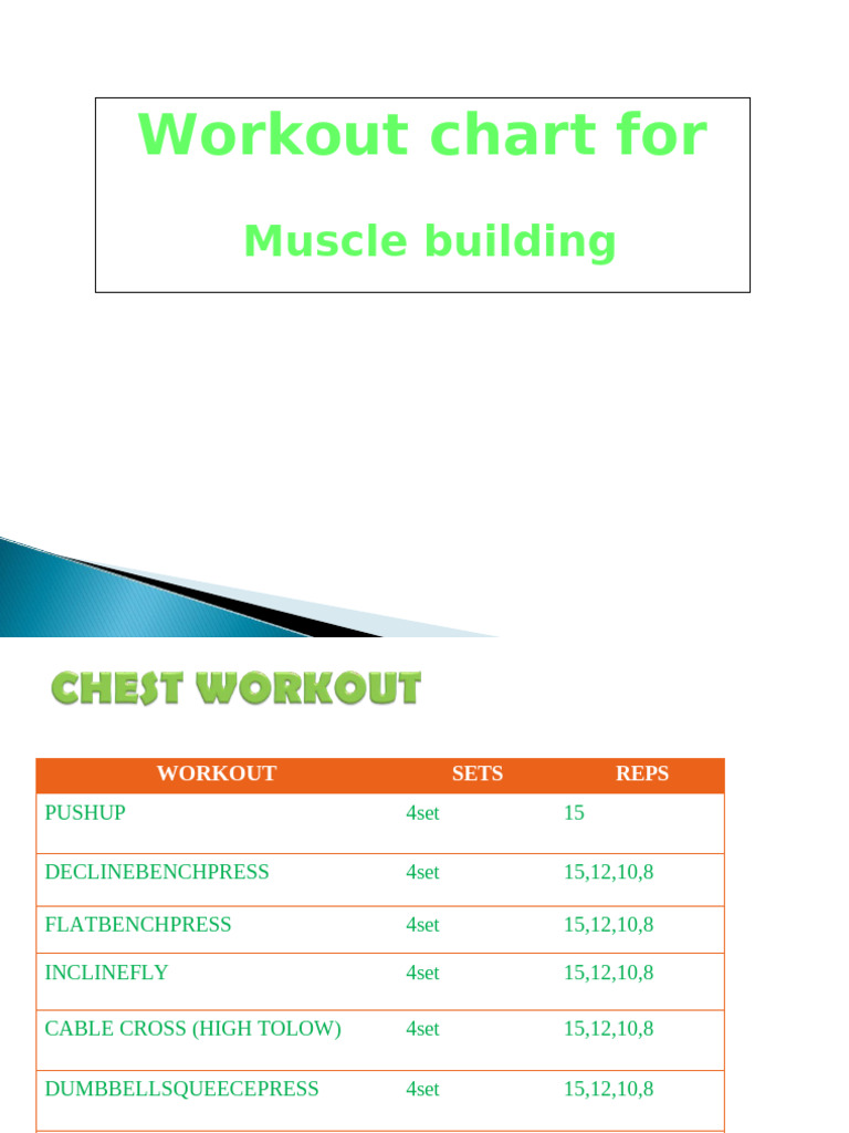 Feb & Mar Workouts - Muscle Building | PDF