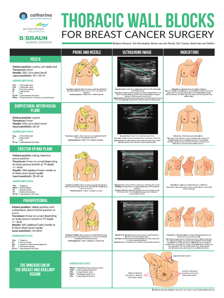 v1.0 - Thoracic Block Poster | PDF