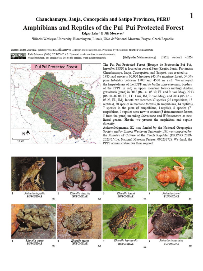 Amphibians and Reptiles of The Pui Pui Protected Forest | PDF