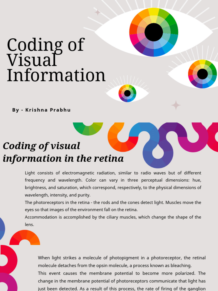 Coding of Visual Information | PDF | Visual Cortex | Visual System