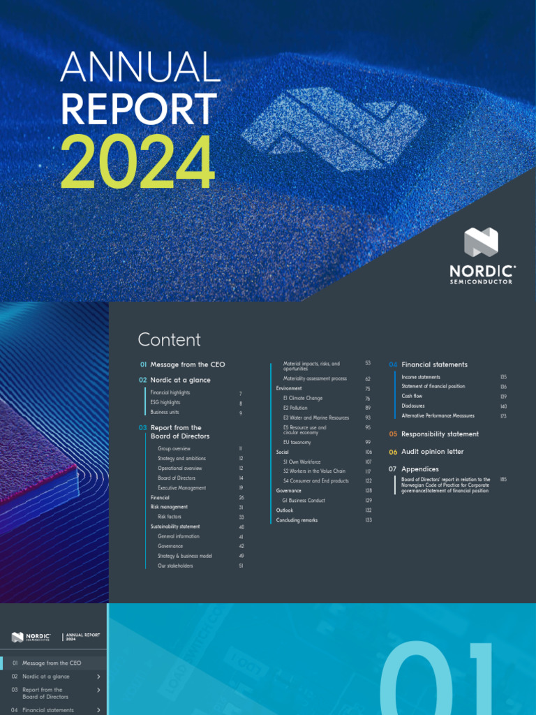 Annual Report 2024 | PDF | Internet Of Things | Integrated Circuit