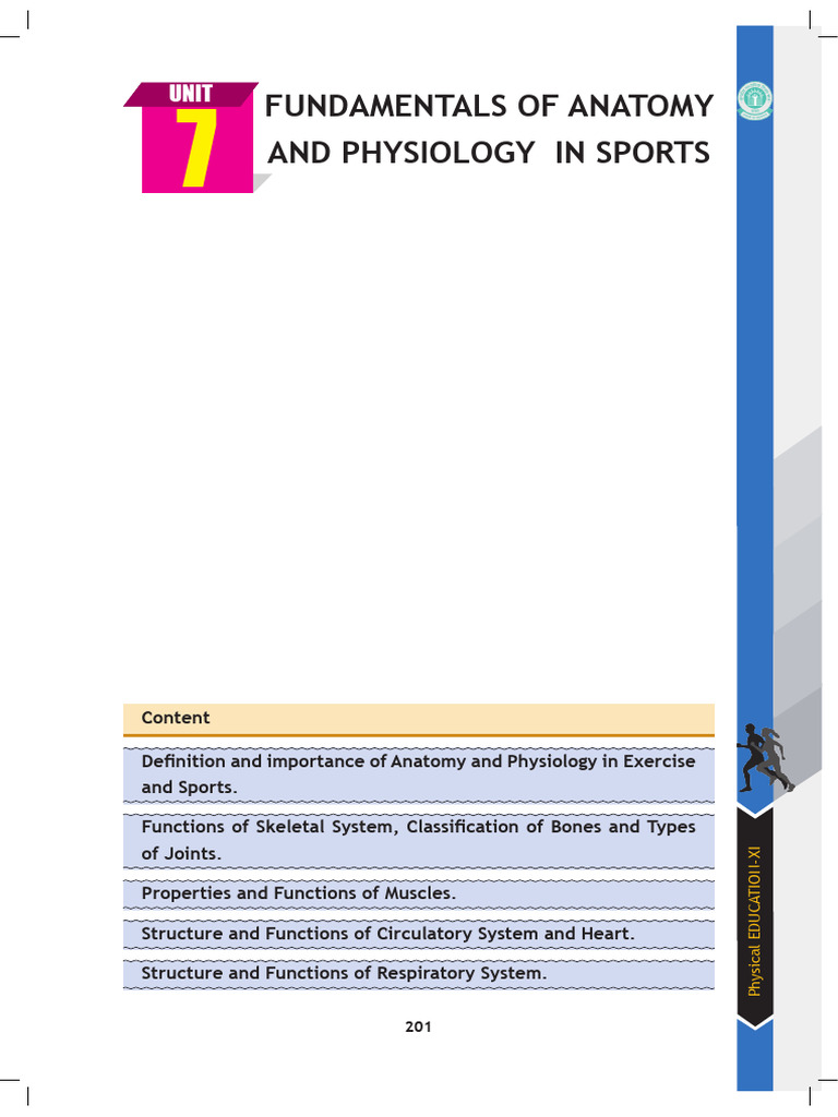 Fundamentals of Anatomy and Physiology in Sports | PDF | Muscle | Heart