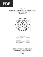 Download MAKALAH JADI KASEIN by Stefanus Putu Pratama II SN99882008 doc pdf