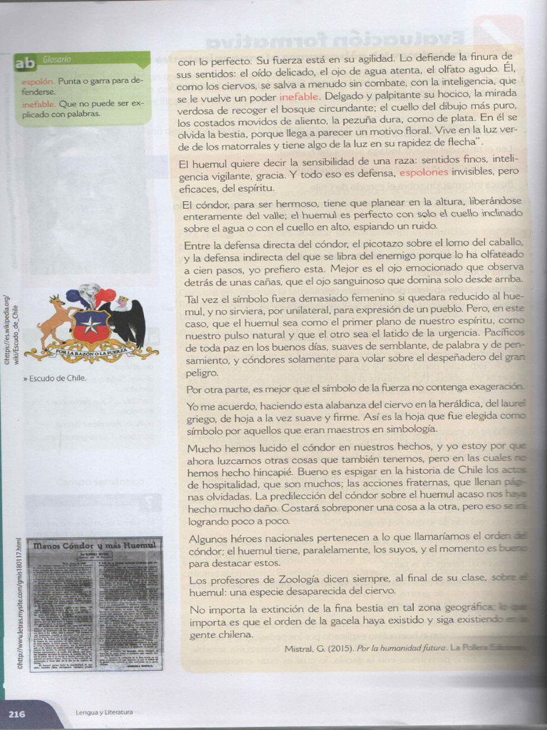 Didi | PDF