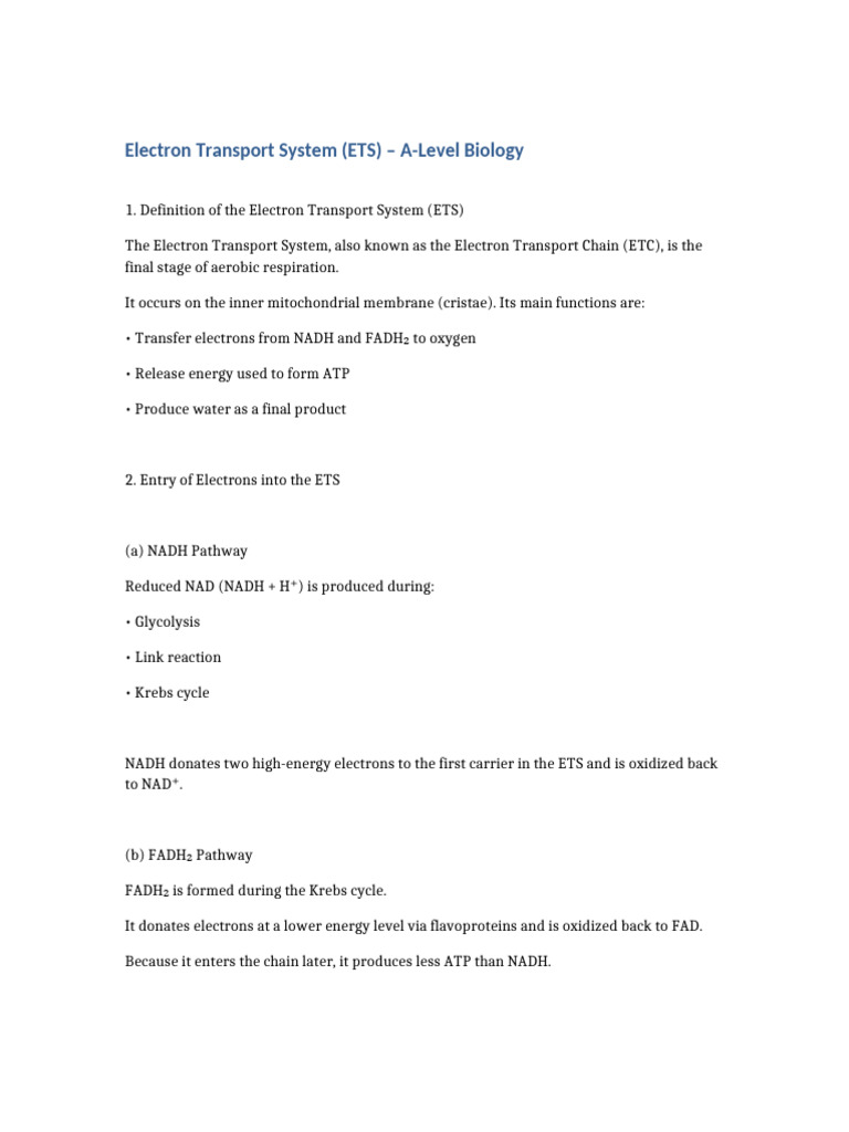 Electron Transport System A Level | PDF