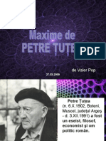 Maxime de Petre Tutea