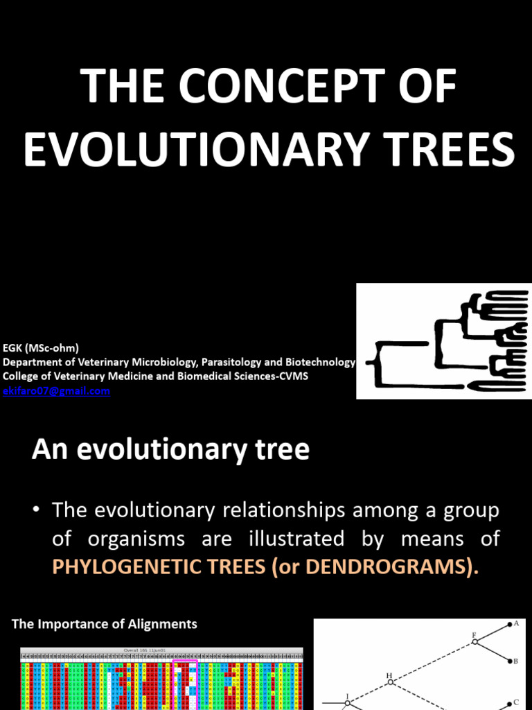 The Concept of Evolutionary Trees | PDF | Phylogenetic Tree | Biostatistics