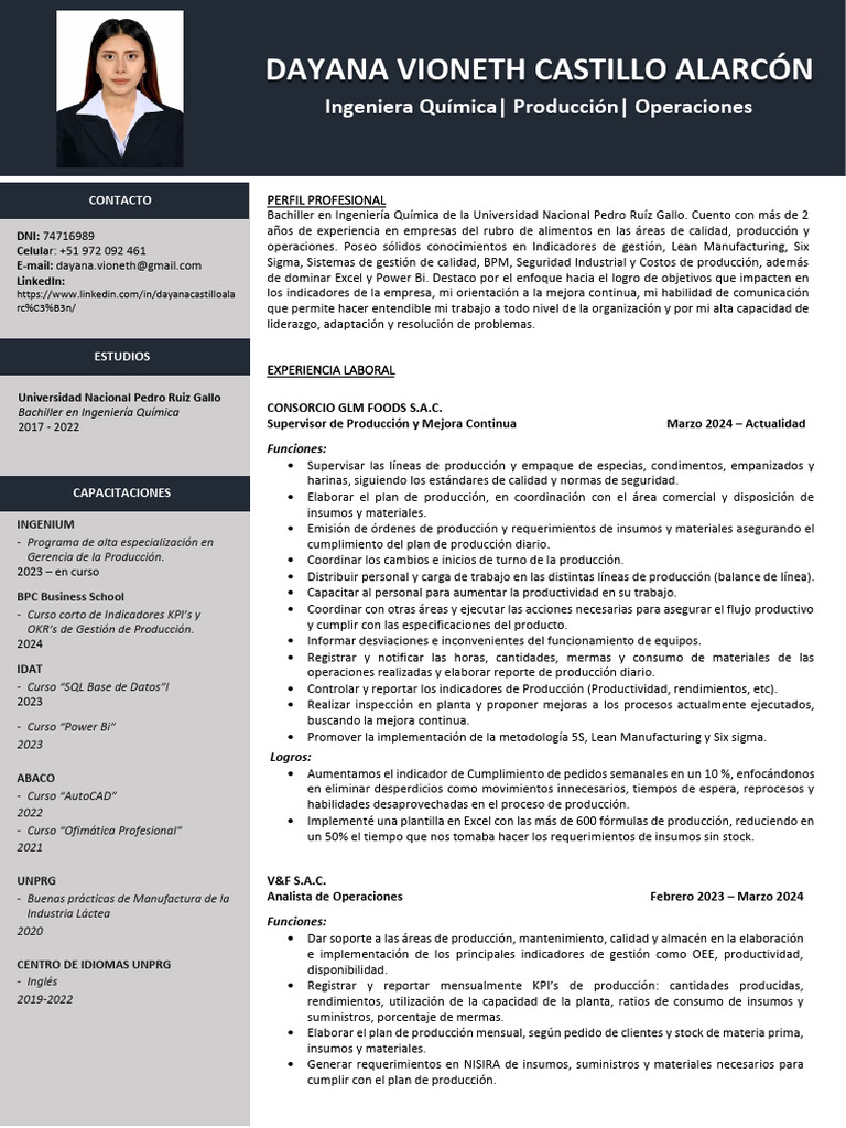 CV Dayana Castillo Alarcón | PDF | Lean Manufacturing | Six Sigma