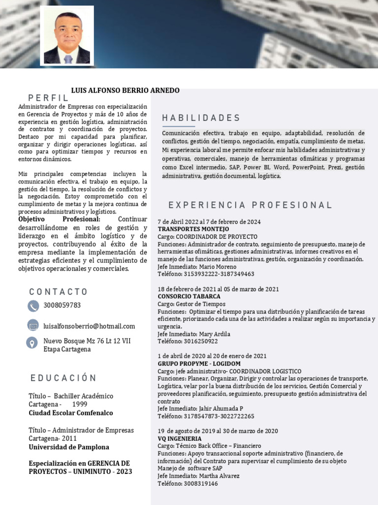 CV Luisa LF On Sober Rio Arne Do | PDF | Logística | Business