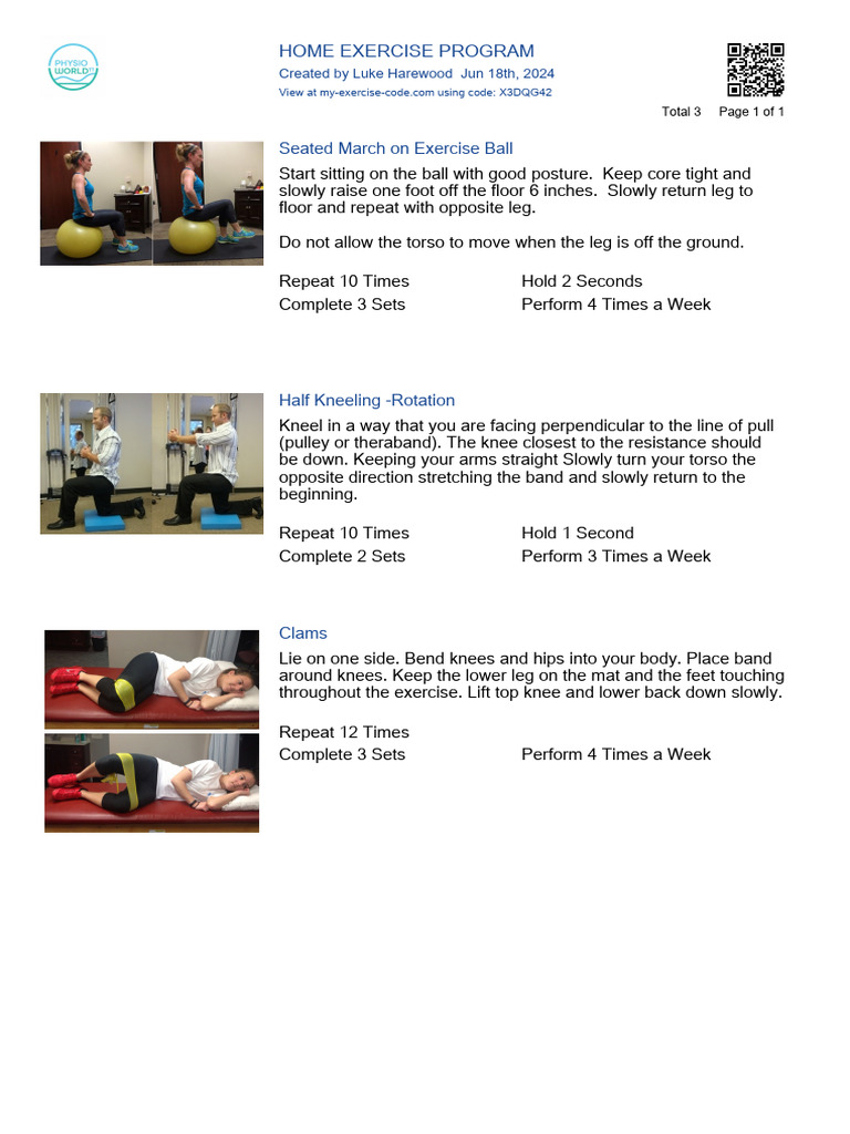 Home Exercise Program: Seated March On Exercise Ball | PDF