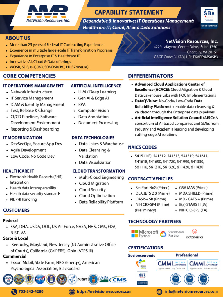 NetVision Resources Inc Capability Statement 1 Page | PDF | Cloud ...