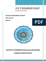 Budidaya Tanaman Hias Secara Efisien