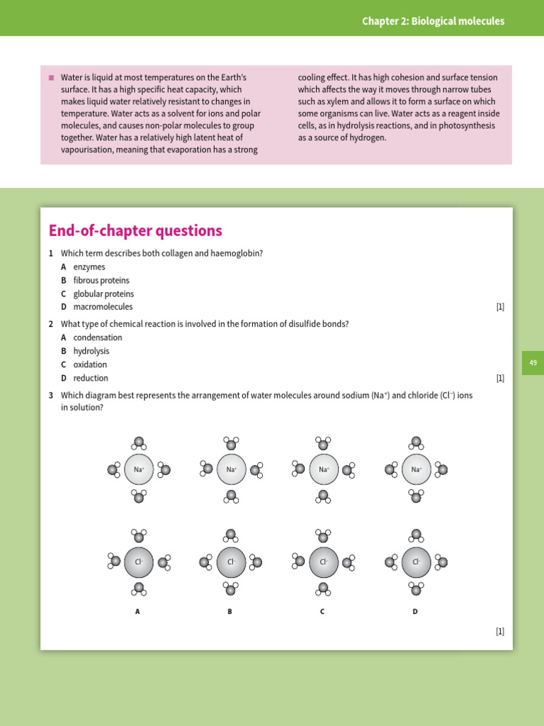 AS T1 Test 1 | PDF