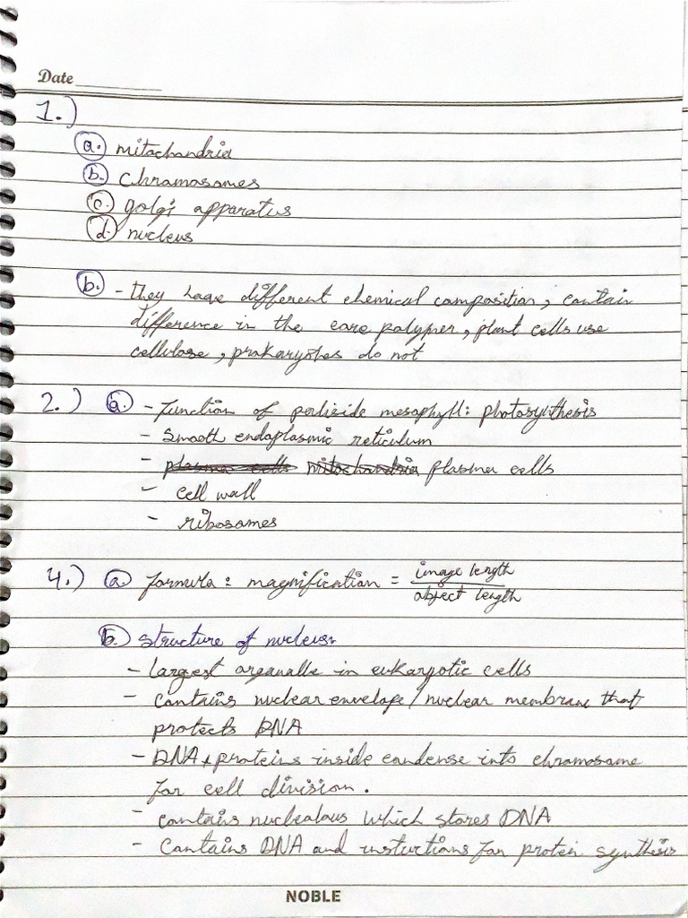 Bio C.W. | PDF
