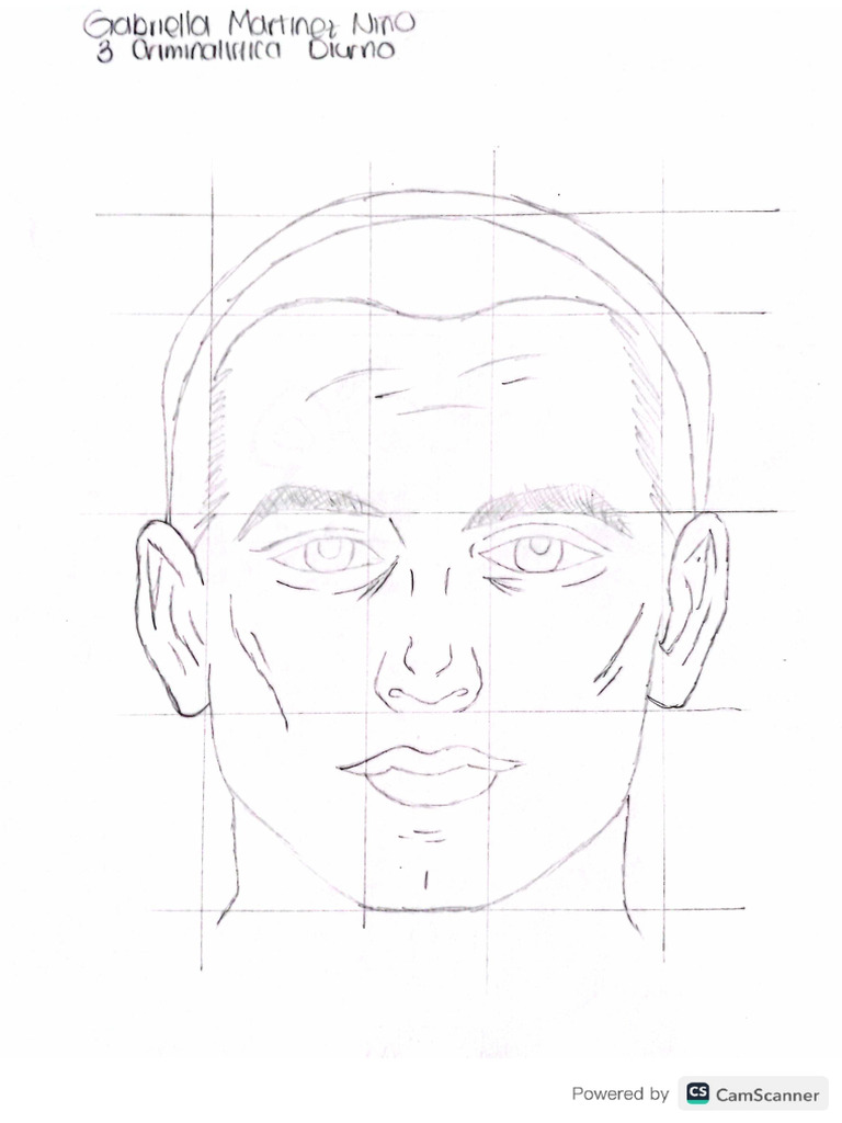 Retrato de Un Rostro - Gabriella Martinez Niño | PDF