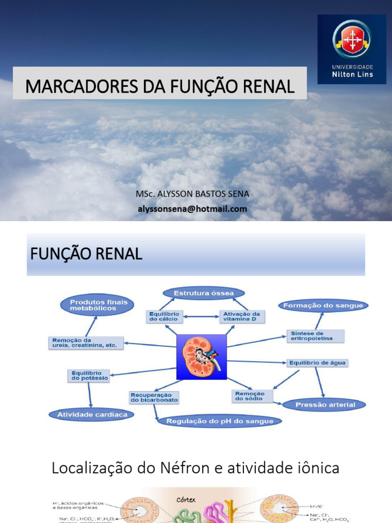 7a. MARCADORES DA FUNÇÃO RENAL | PDF | Gota | Creatinina