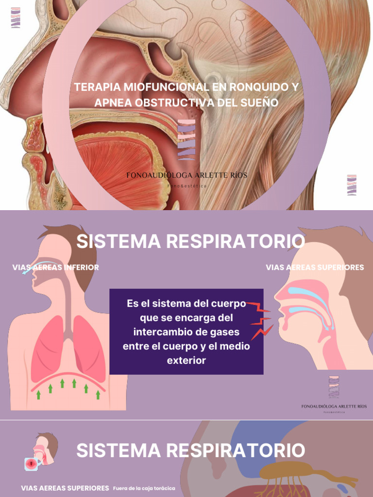 Clase Ronquido Parte 1 | PDF | Sistema respiratorio | Apnea del sueño
