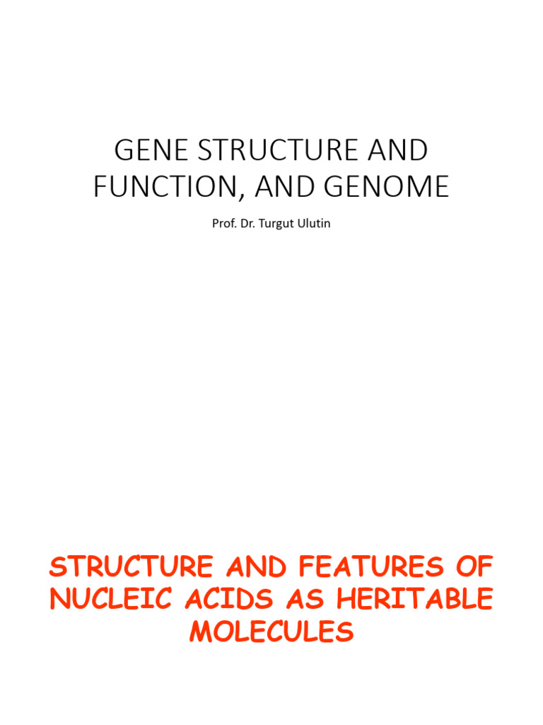 1-Gene, Genome Structure and Order DNA RNA Structure - SIMPLIFIED | PDF ...