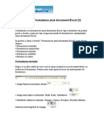 Formatarea Unui Document Excel - 2