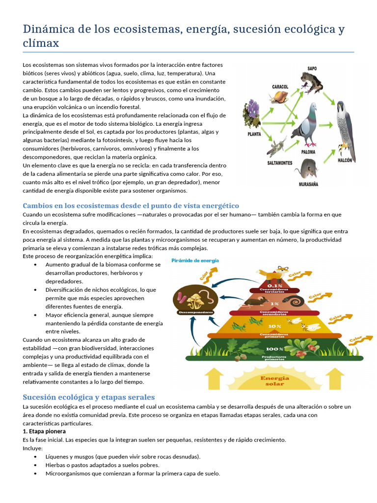 Dinámica de Los Ecosistemas | PDF | Ecosistema | Ecología