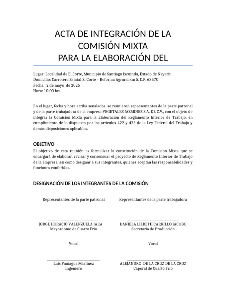 Acta de La Comisión Del Rit | PDF | Gobierno